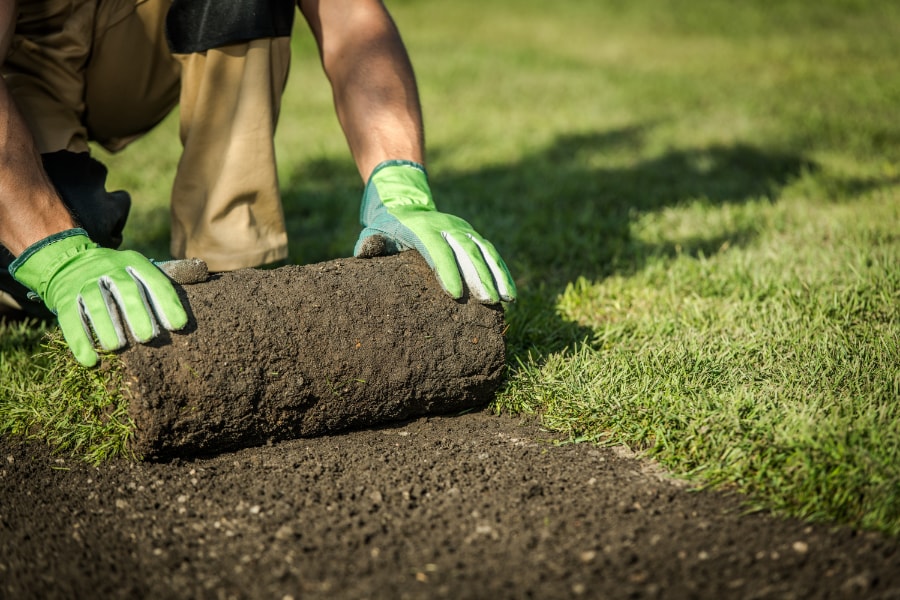 Turfing Swansea - Turf Contractors (Free No-Obligation Quotes)